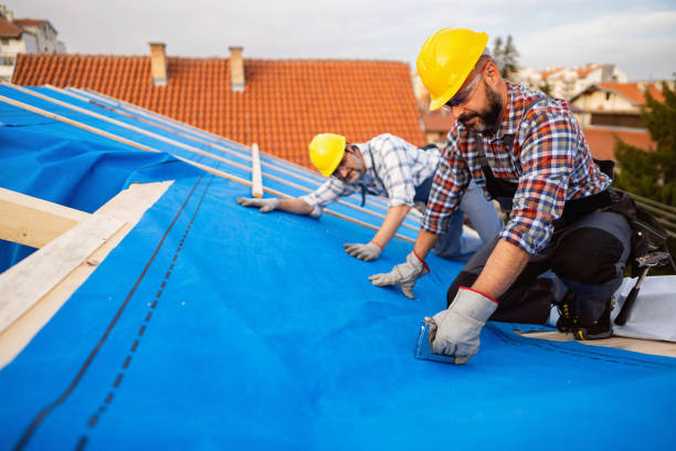 Best Gutter Installation and Roofing  in Marlin, TX