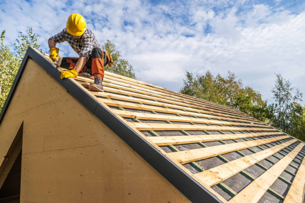 Best Roof Gutter Cleaning  in Marlin, TX